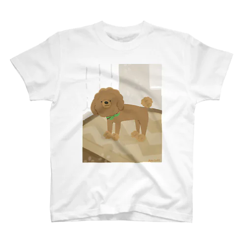 トリミングに行ったわんちゃん🐕✂️ スタンダードTシャツ