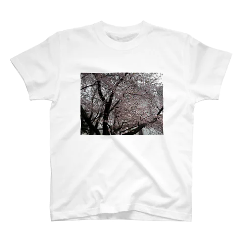 札幌の桜 Regular Fit T-Shirt