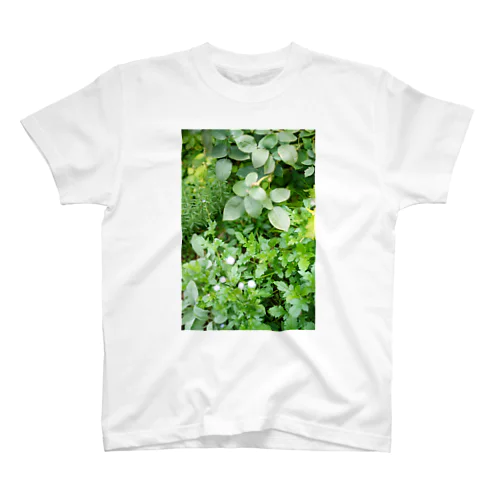 plant capturing 1  Regular Fit T-Shirt