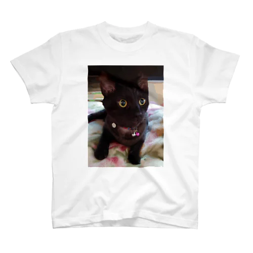 保護猫ヤマト君 Regular Fit T-Shirt