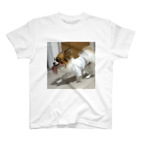 お魚咥えたこく猫 スタンダードTシャツ