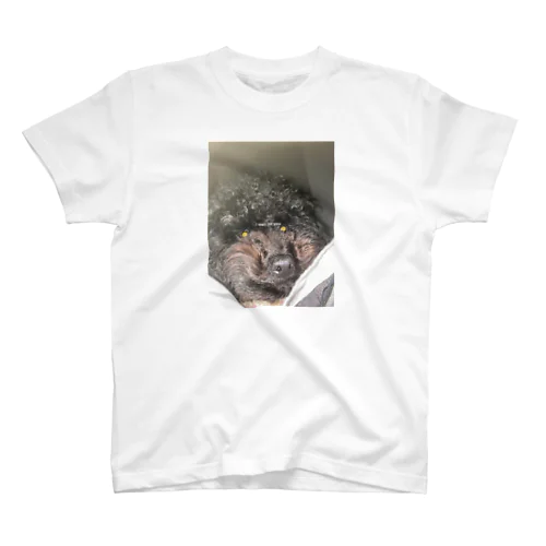 totodog スタンダードTシャツ