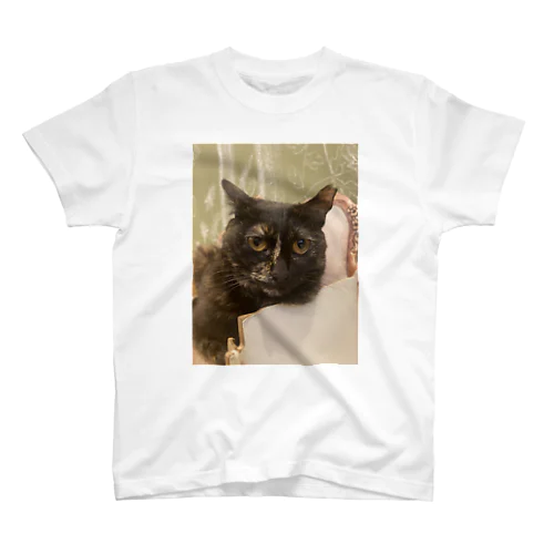 ねこにゃんにゃん Regular Fit T-Shirt