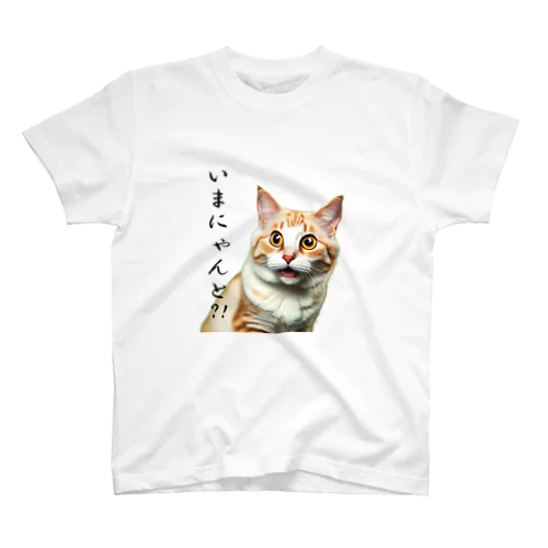 ダジャレTシャツ　にゃんとも言いがたい猫 スタンダードTシャツ