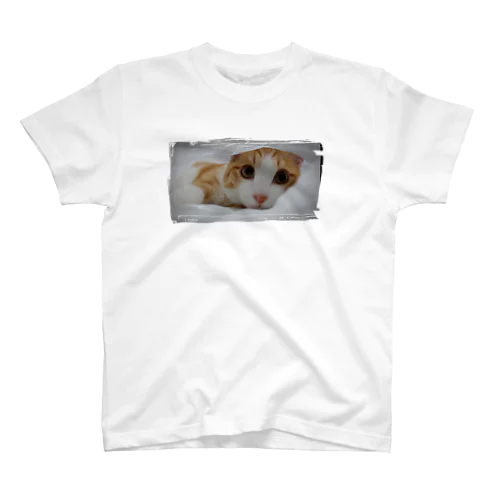 茶白猫　隠 スタンダードTシャツ