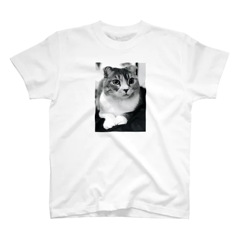 飼い猫 スタンダードTシャツ