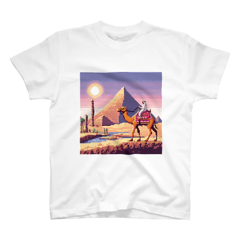砂漠のオアシス スタンダードTシャツ
