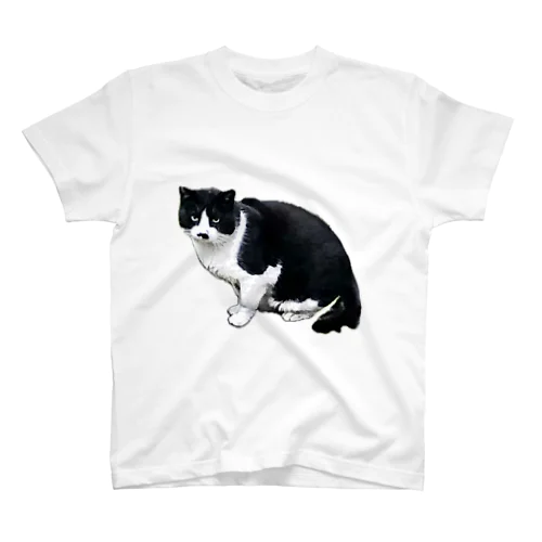 近所の野良猫 スタンダードTシャツ