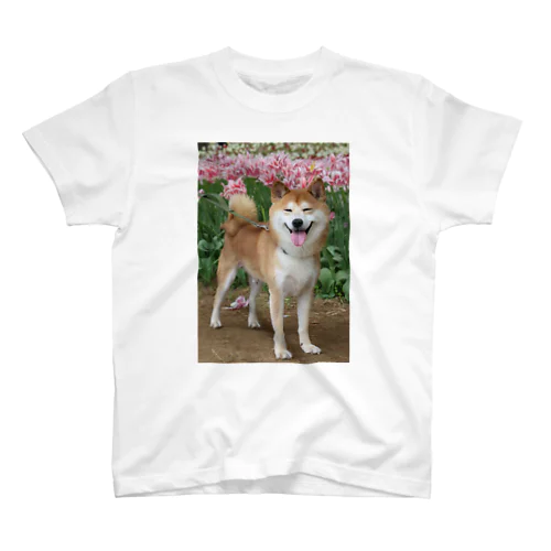 柴犬とチューリップ スタンダードTシャツ