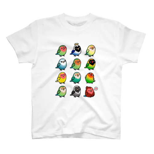 【両面】Chubby Bird（背面）コザクラインコ　ルチノー　（表）ラブバード大集合　（コザクラインコ＆ボタンインコ） Regular Fit T-Shirt