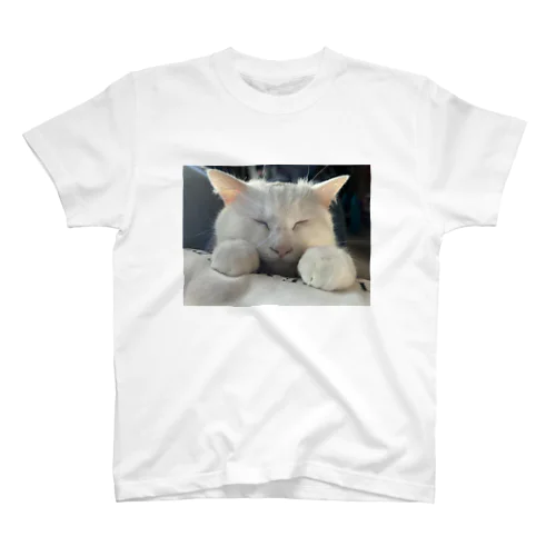 白猫 スタンダードTシャツ