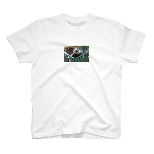 上野動物園シャンシャン Regular Fit T-Shirt
