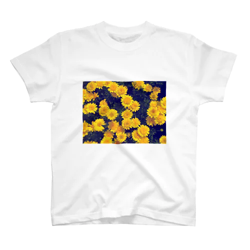 Flower#2 スタンダードTシャツ