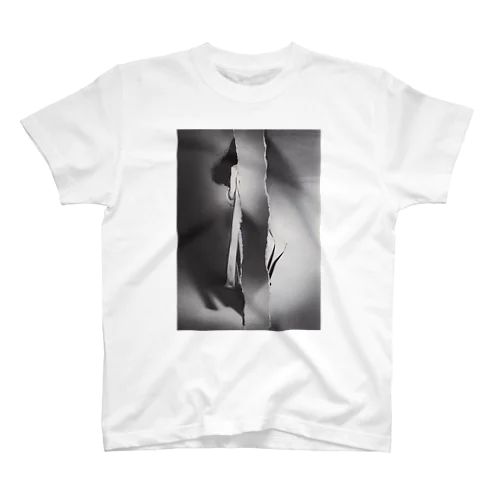 Collage-T-007 Regular Fit T-Shirt