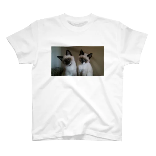 わがやのねこ スタンダードTシャツ