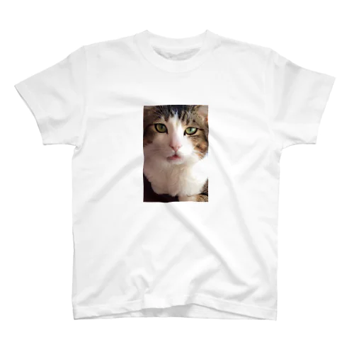 猫 スタンダードTシャツ