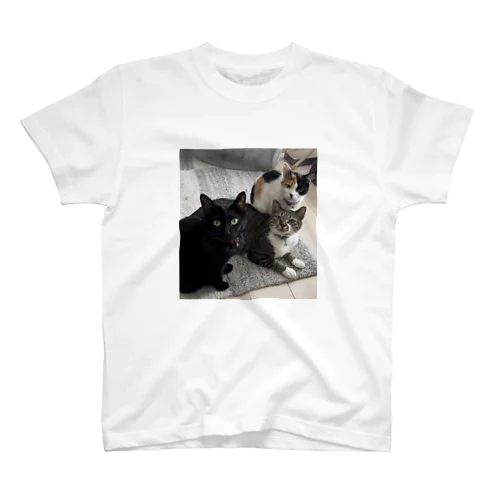 さん猫　 Regular Fit T-Shirt