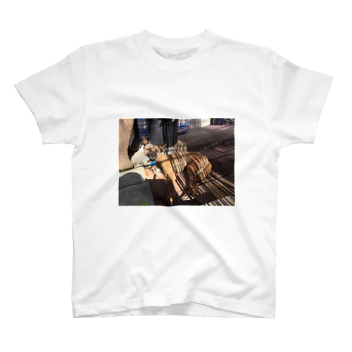 ゆる〜い セレガちゃん Regular Fit T-Shirt