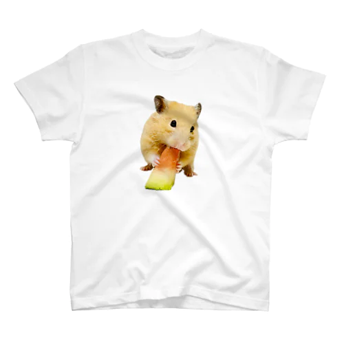 夏のスイカきみちゃん スタンダードTシャツ