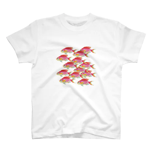 魚たち スタンダードTシャツ