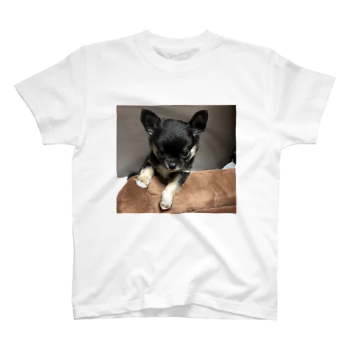 Kuu puppy スタンダードTシャツ