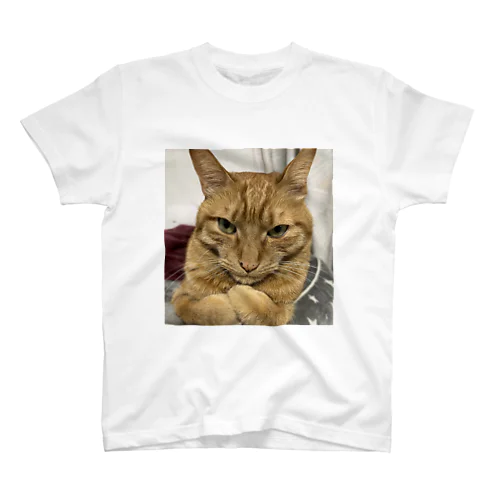 猫好きさんのトラくんTシャツ Regular Fit T-Shirt