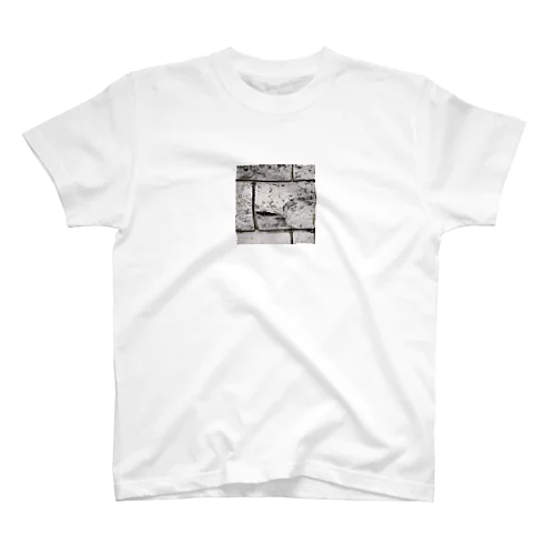 白いブロック Regular Fit T-Shirt