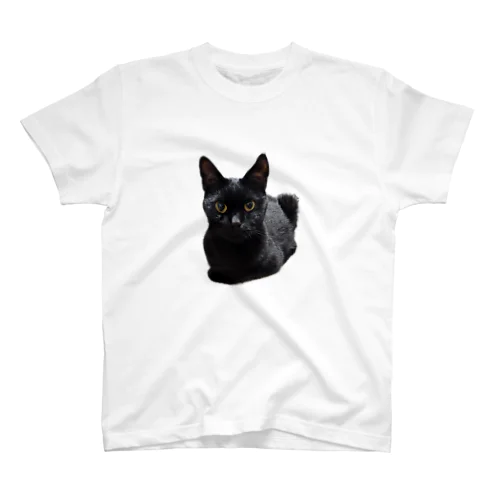 きょろり黒ねこ Regular Fit T-Shirt