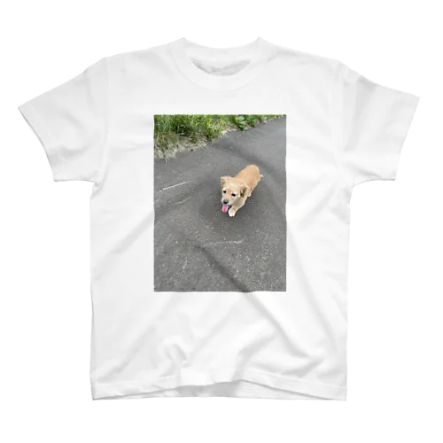犬歩くTシャツ Regular Fit T-Shirt