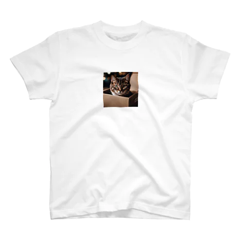 段ボールに入ってこっちを見つめる猫 スタンダードTシャツ