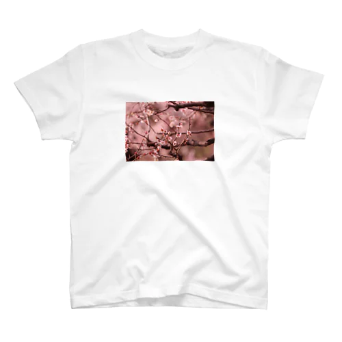 Spring has come♡ Regular Fit T-Shirt