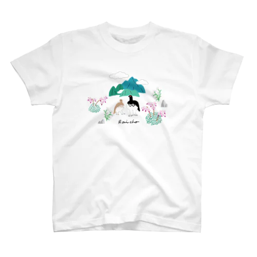 雷鳥と出会う夏山 スタンダードTシャツ