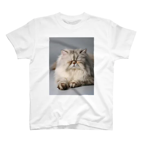 ペルシャ猫😴 スタンダードTシャツ