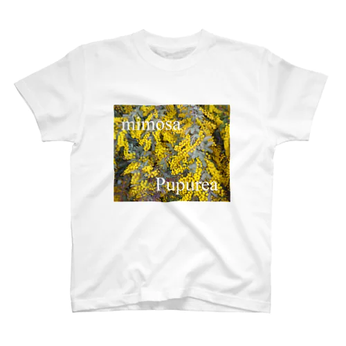 Mimosa　Pupurea Regular Fit T-Shirt