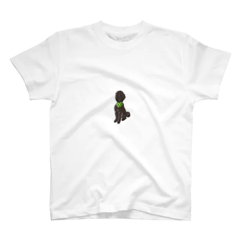 Golden doodle スタンダードTシャツ