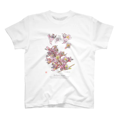 博物画　ベニバナトチノキの花のTシャツ スタンダードTシャツ
