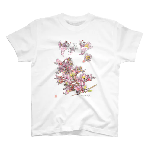 博物画　ベニバナトチノキの花のキーホルダー Regular Fit T-Shirt