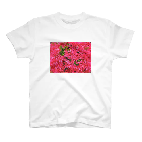 ツツジのお花シリーズ Regular Fit T-Shirt