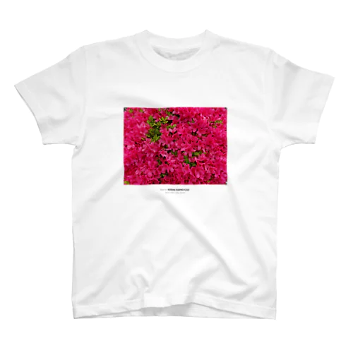 ツツジのお花T part2 Regular Fit T-Shirt