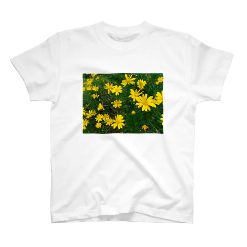 きいろのお花 Regular Fit T-Shirt