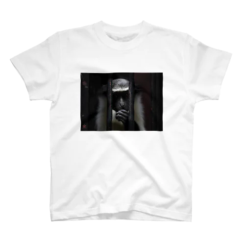 Gaze to the outside Regular Fit T-Shirt