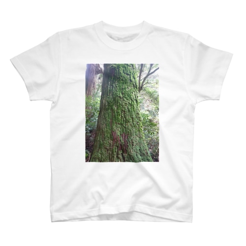 パワースポット Regular Fit T-Shirt