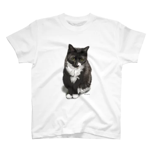 くつした猫のくろみつ Regular Fit T-Shirt