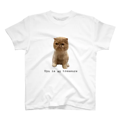 Uyu is my treasure Regular Fit T-Shirt