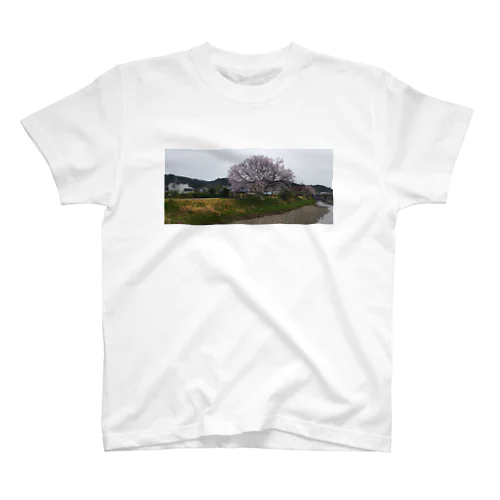 桜 スタンダードTシャツ