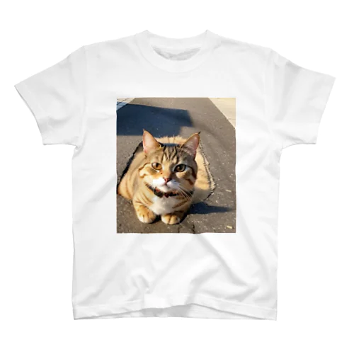 道路にすっぽりはまる猫 Regular Fit T-Shirt