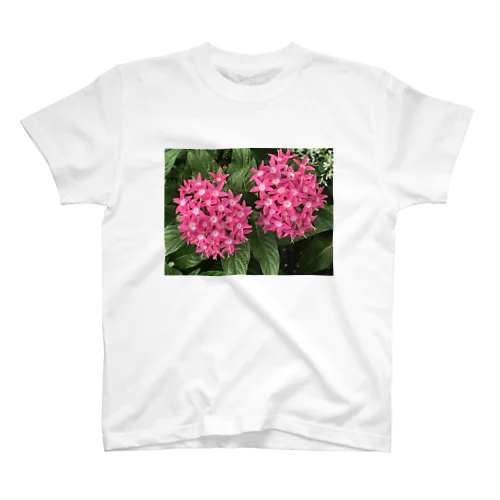 レッドフラワー🌺 スタンダードTシャツ