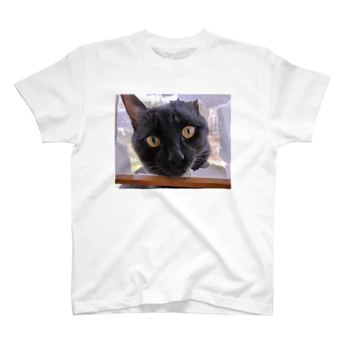 猫Tシャツ Regular Fit T-Shirt