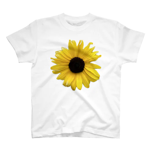 日本の風景:近所のひまわり、Japanese scenery: Sunflowers in the neighborhood スタンダードTシャツ