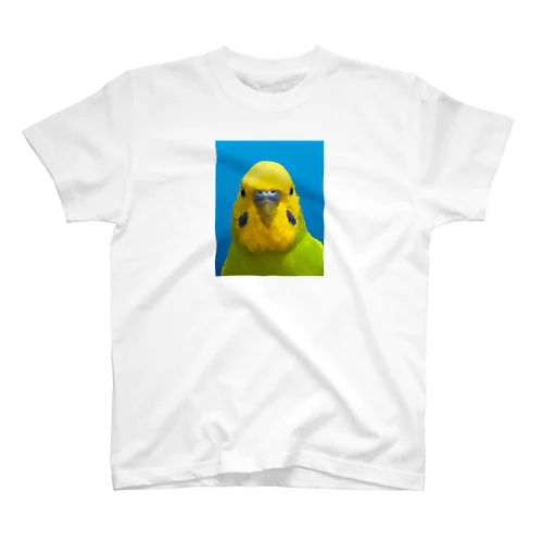 こはちゃんの証明 Regular Fit T-Shirt